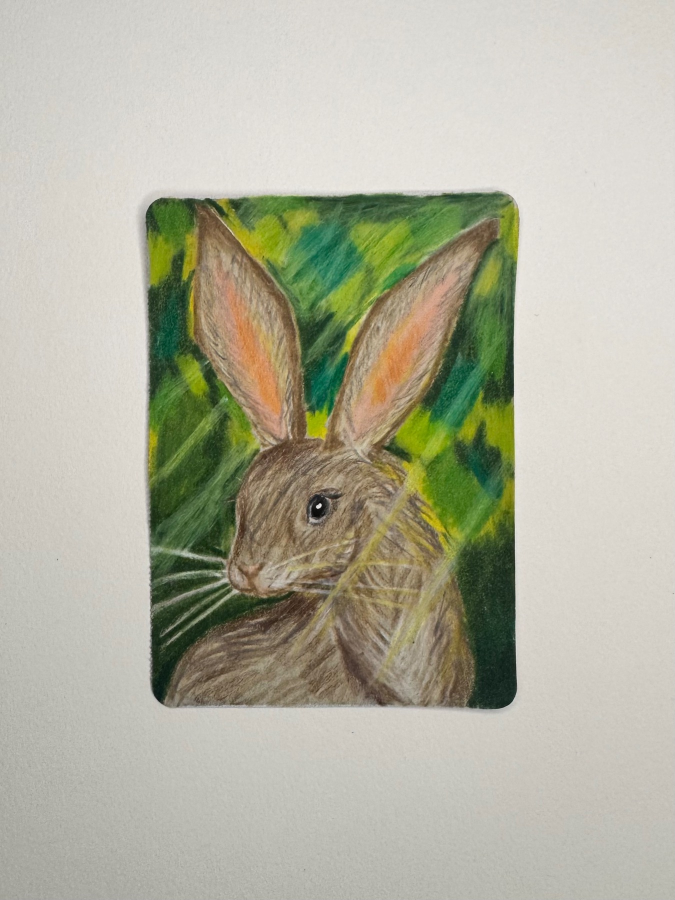 Rabbit aceo art card