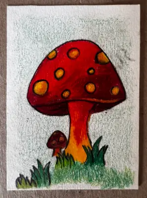 ACEOs Original Art Drawing , Mushroom Series 1 No. 6 of 6 , Color pencil aceo art card thumbnail 1