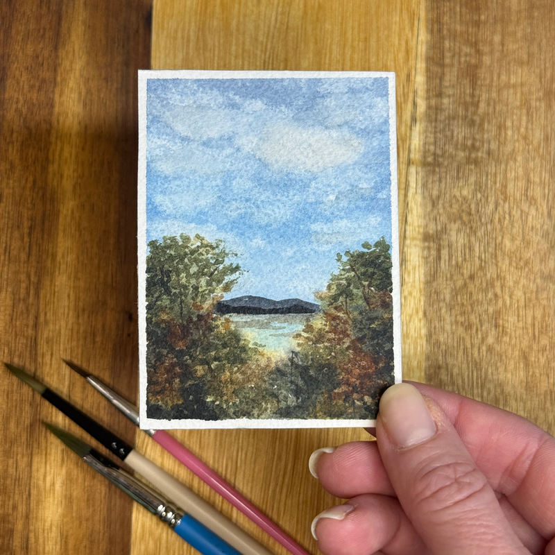 ACEO Watercolor, Landscape, Original, Marsh, “Pinnacle Mountain Overlook”, 3.5x2.5in, By Lark Waterc aceo art card