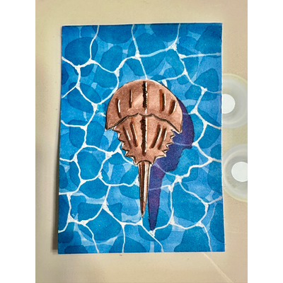 Horseshoe Crab aceo art card thumbnail 2
