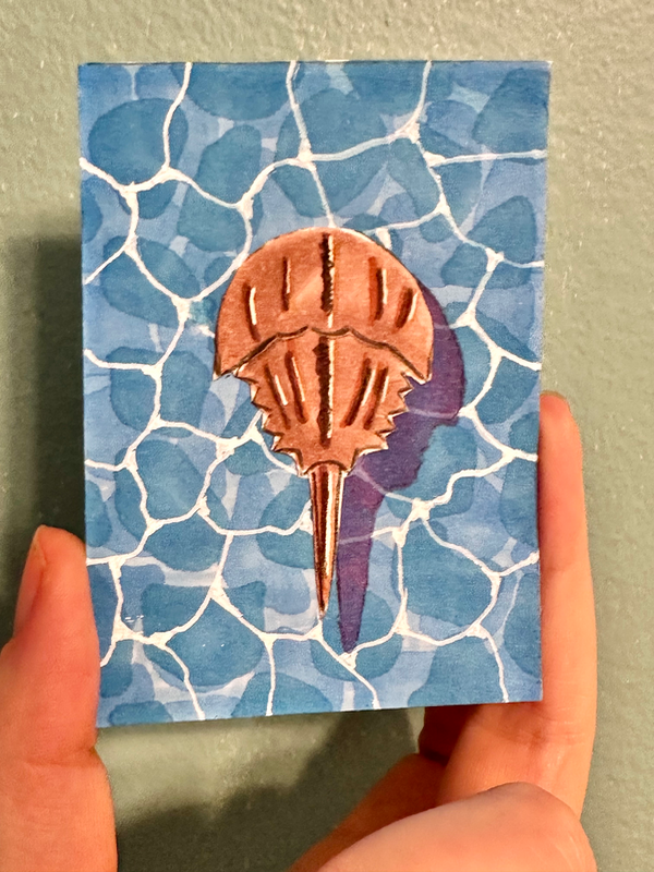 Horseshoe Crab aceo art card