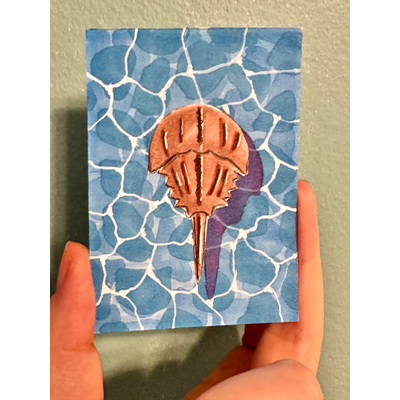 Horseshoe Crab aceo art card thumbnail 1
