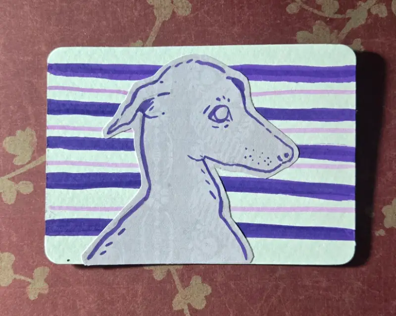 Purple Striped Greyhound aceo art card