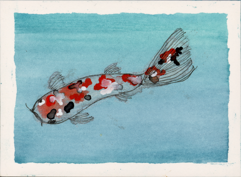 Koi Series One, No. Two aceo art card