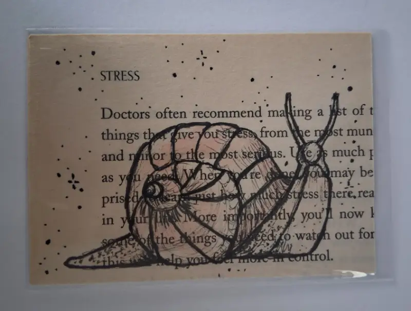 Snail aceo art card