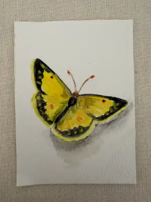 ACEO Original Watercolor Trading Card- "Sleepy Orange" Butterfly aceo art card thumbnail 1
