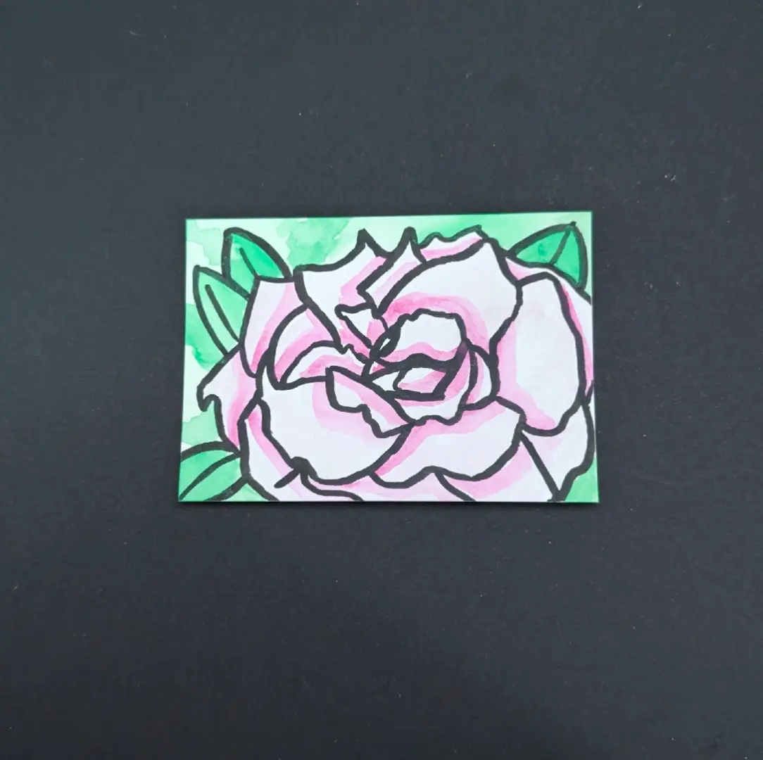 Pink Rose #2 aceo art card