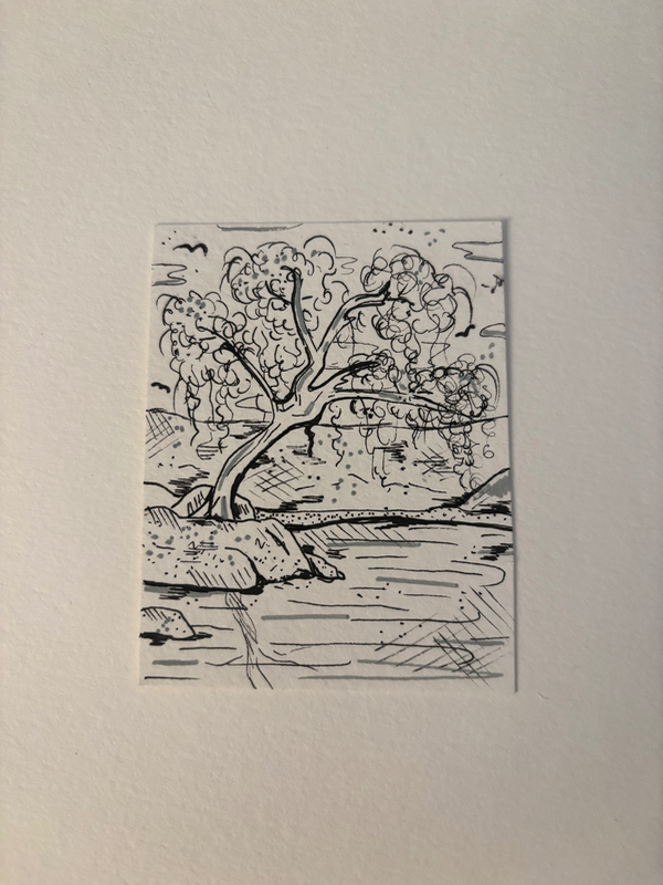 B&W Willow Tree aceo art card