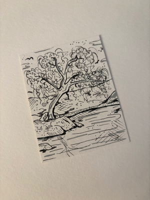 B&W Willow Tree aceo art card thumbnail 2
