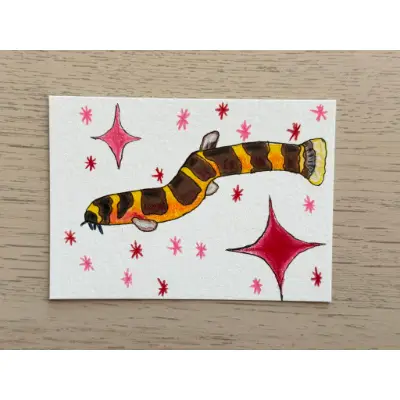 Kuhli Loach aceo art card thumbnail 1