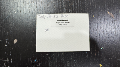 Lady Banks Rose or Lemon Tree aceo art card thumbnail 4