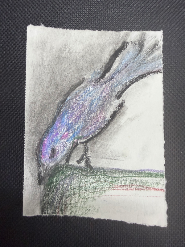 Little Bird aceo art card