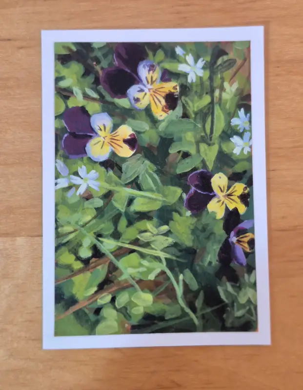 Johnny Jump Ups aceo art card