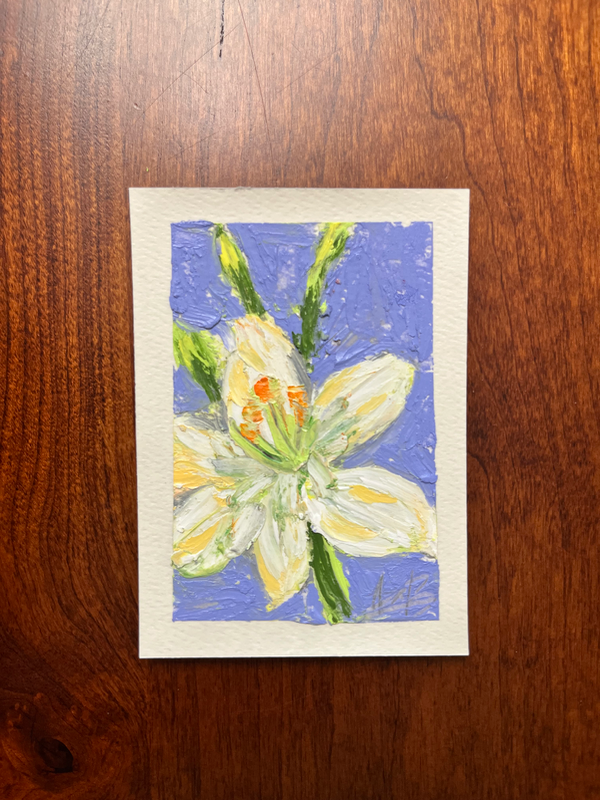 White Lily aceo art card