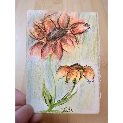 ACEO Sunflowers Original Soft Pastel Drawing aceo art card thumbnail 1
