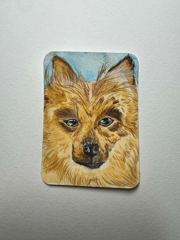 ACEO Original Art Ashley Leary Watercolor Dog Pomeranian Cute Puppy Pet Portrait Long Hair Dog aceo art card
