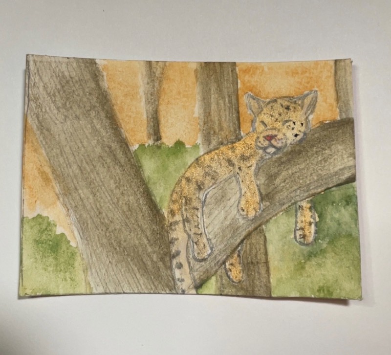 Lounging Leopard aceo art card