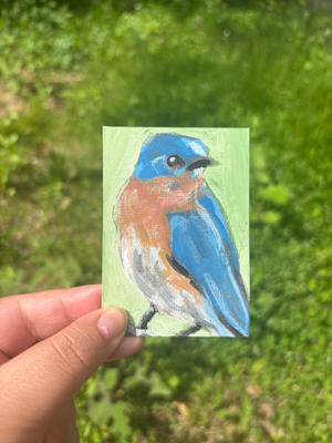 Acrylic Bird Painting “Real Feathers” aceo art card thumbnail 2