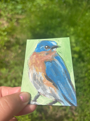 Acrylic Bird Painting “Real Feathers” aceo art card thumbnail 3