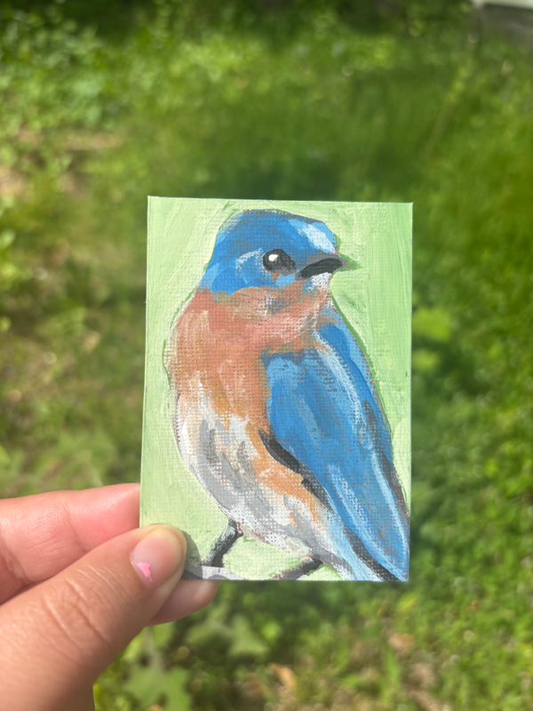 Acrylic Bird Painting “Real Feathers” aceo art card