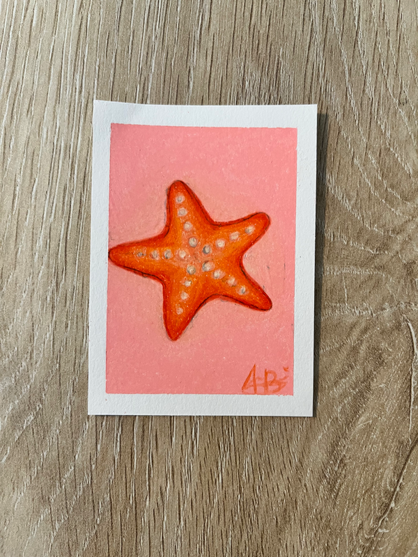 Starfish aceo art card