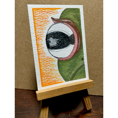 Un-FROG-gettable🐸 aceo art card thumbnail 2