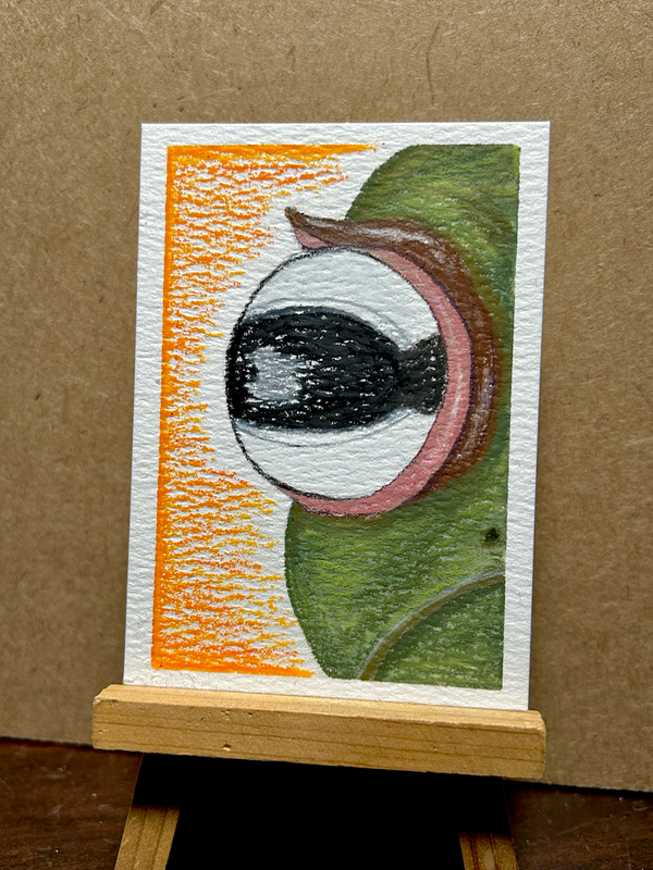 Un-FROG-gettable🐸 aceo art card