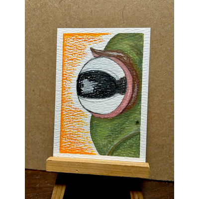 Un-FROG-gettable🐸 aceo art card thumbnail 1