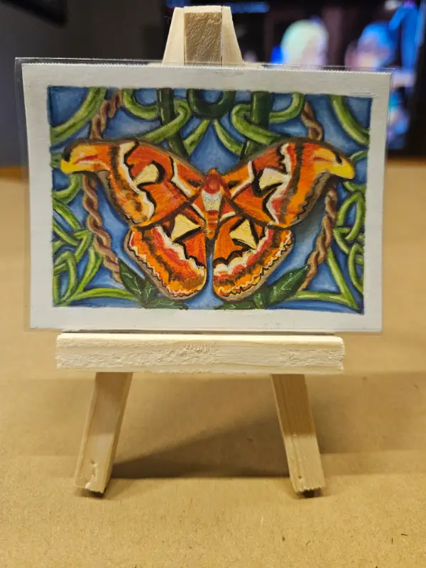 Attacus Atlas Moth on blue background with vines_Original_ACEO_OOAK aceo art card
