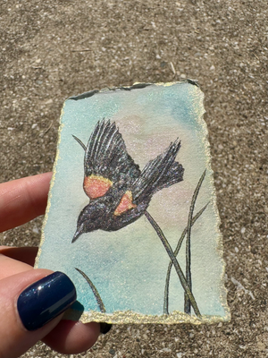 Red-Winged Blackbird aceo art card thumbnail 2