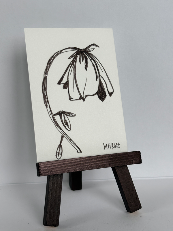Wilting English Rose aceo art card
