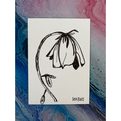Wilting English Rose aceo art card thumbnail 3