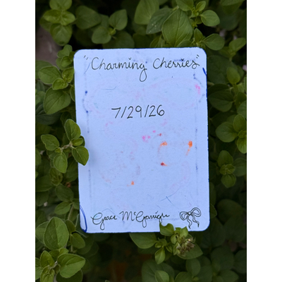 Charming Cherries aceo art card thumbnail 2