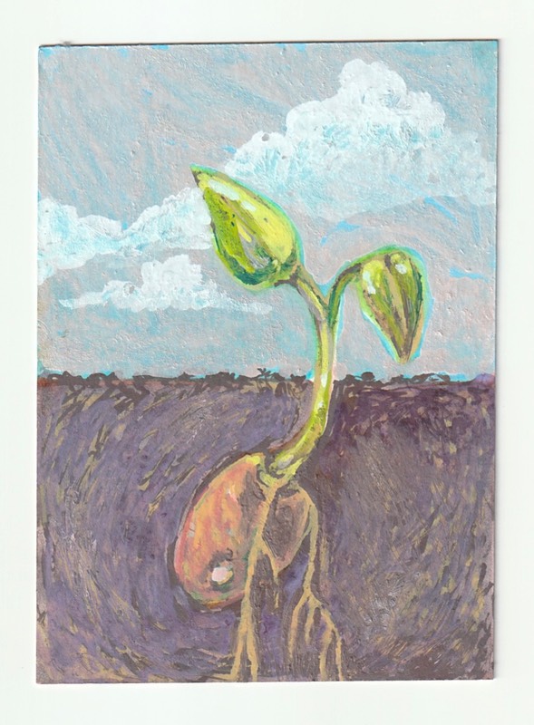 Seedling aceo art card