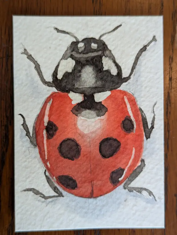 Ladybug aceo art card