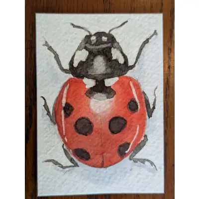 Ladybug aceo art card thumbnail 1
