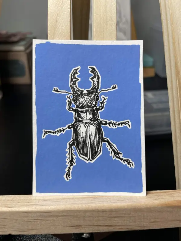 Stag Beetle aceo art card
