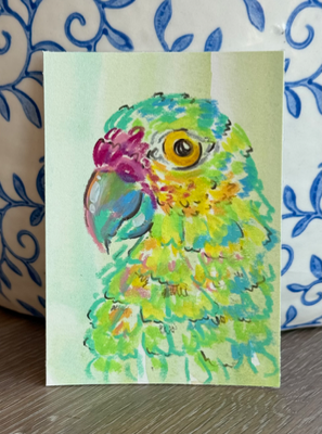 Green Pastel Parrot aceo art card thumbnail 1