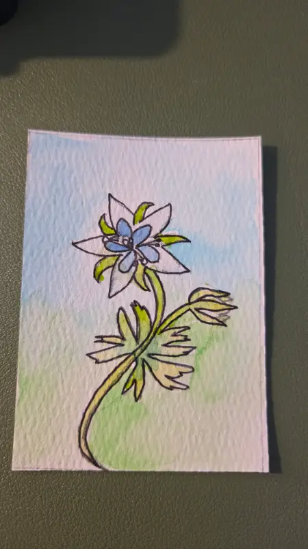 The Silent Princess aceo art card