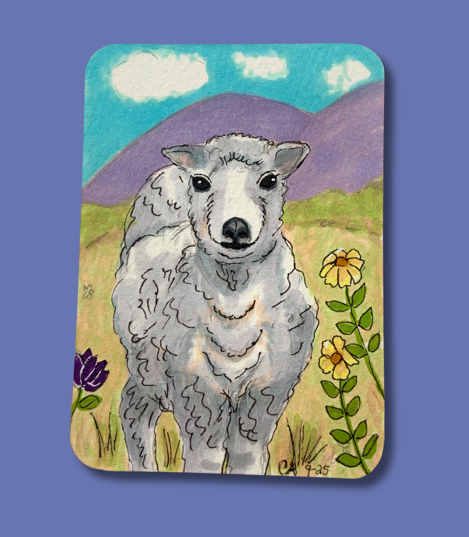 Sheep ACEO - Alcohol Ink on Watercolor Paper - English Sheep in Meadow aceo art card