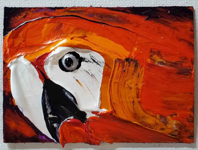 RED PARROT 2 aceo art card