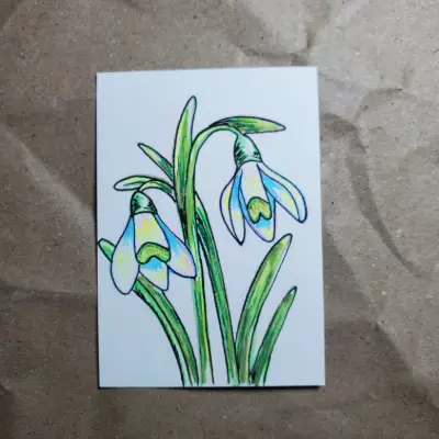 Snowdrops aceo art card thumbnail 2