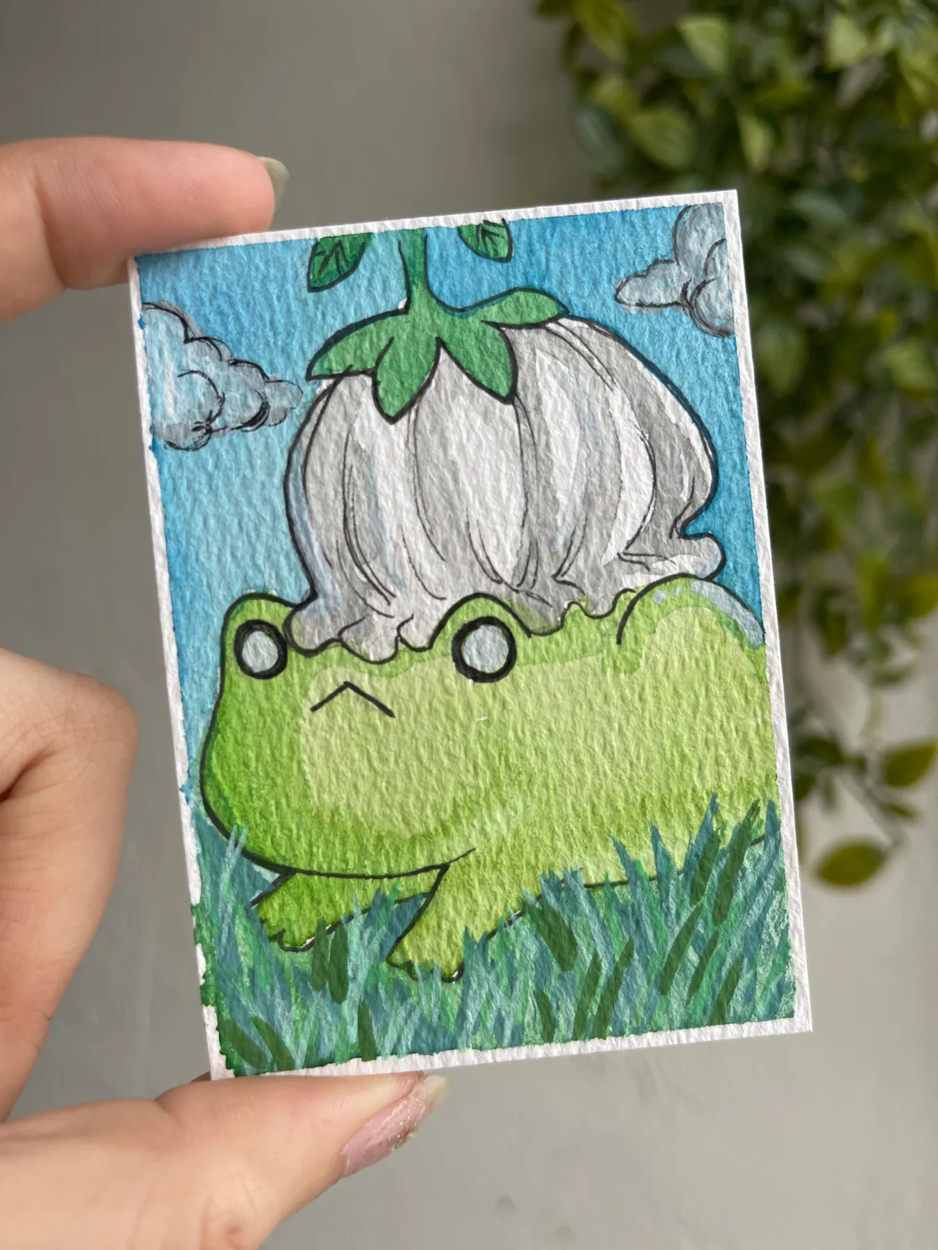 Flower Frog aceo art card