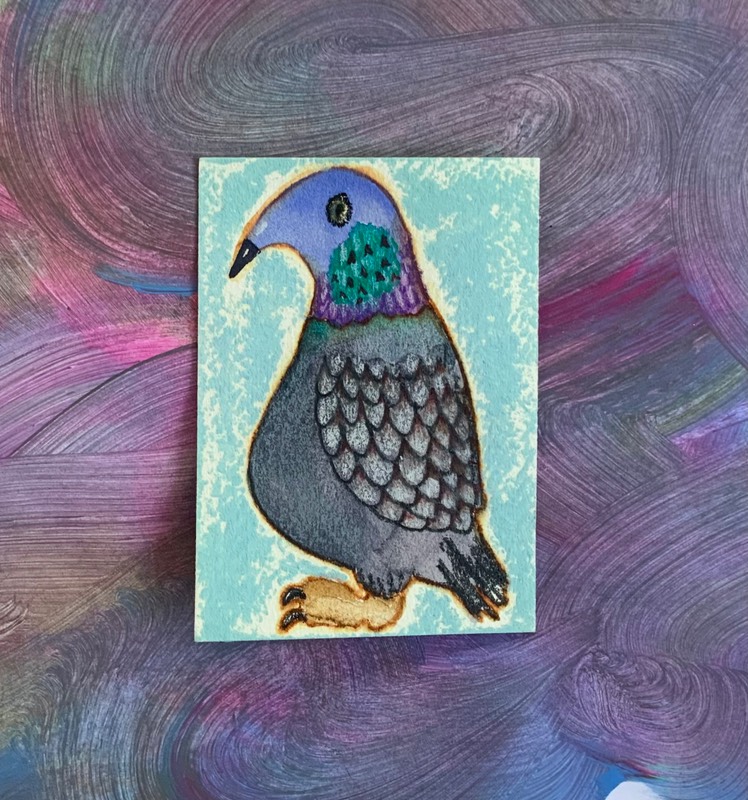 Mixed Mideast bird Pigeon aceo art card